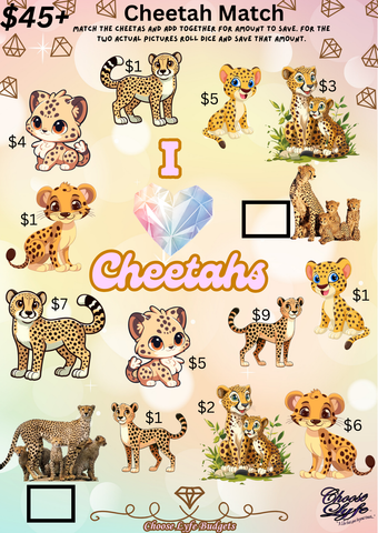 Cheetah Match
