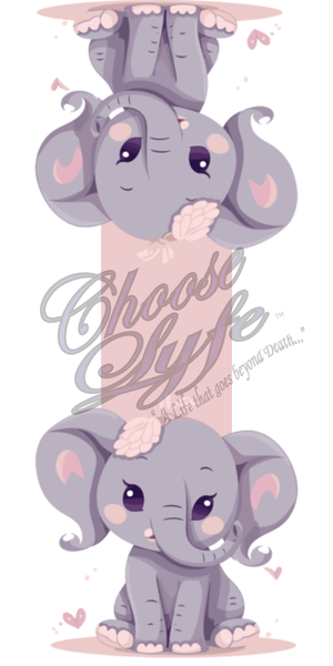 (7) Elephant
