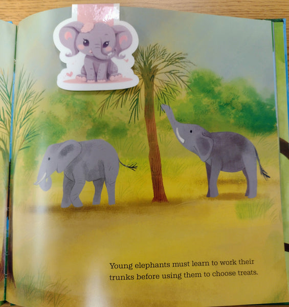 (7) Elephant