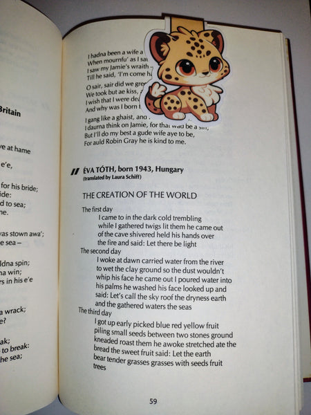 (11) Cheetah Read