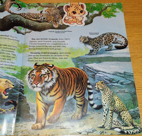 (11) Cheetah Read